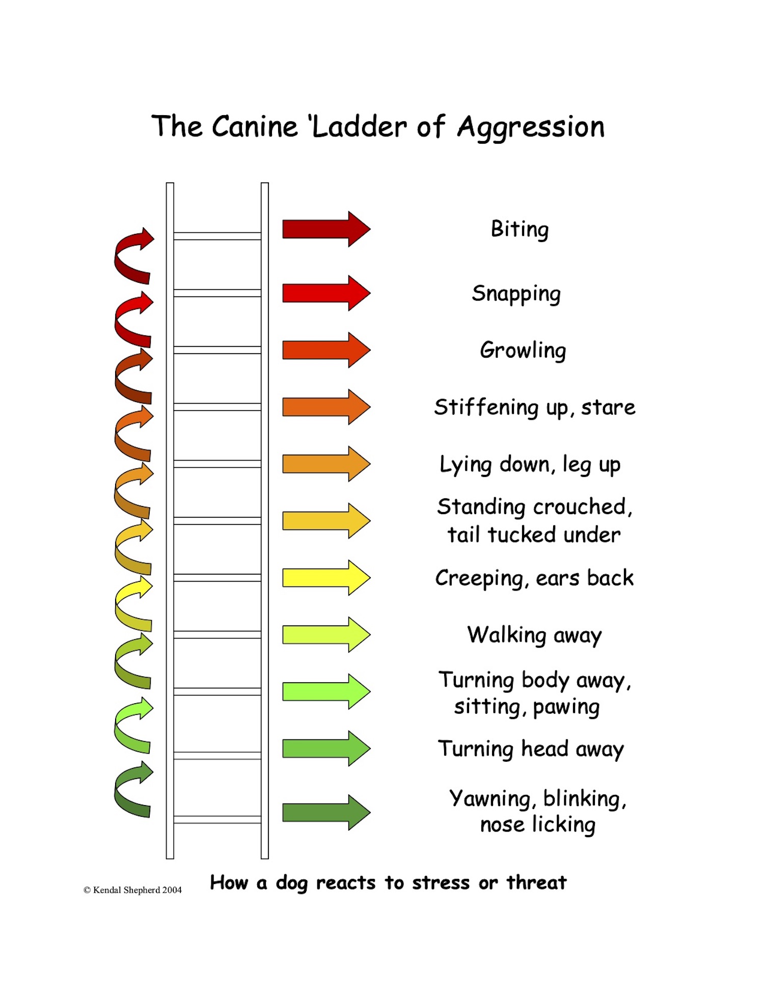 ladder of aggression